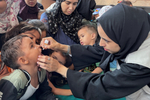 Outbreak of Polio Epidemic in the Gaza Strip