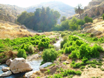 Conservation Efforts in West Bank Nature Reserves