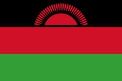Life profile logo